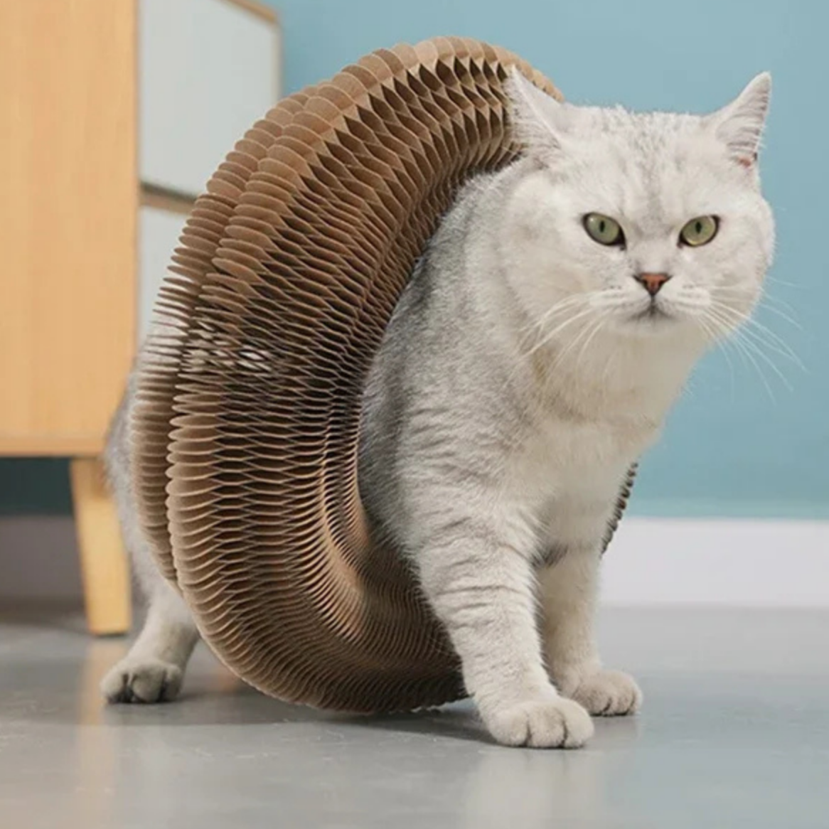 VivaCat Avcılık Oyuncağı